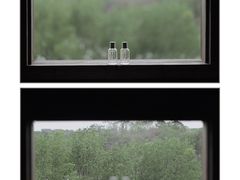 -华侨城湿地公园