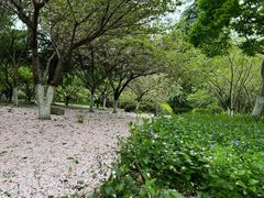 -白塘生态植物园