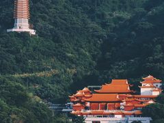 -深圳仙湖植物园