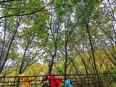 -云岫谷游猎自然风景区