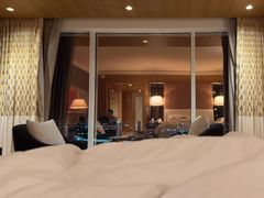 -拉斯维加斯永利酒店