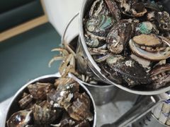 -仙螺岛海鲜自助餐厅(总店)