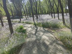 -东郊湿地公园