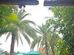 -亚特兰蒂斯-番红花海鲜自助餐厅·鲜活海鲜·小火锅