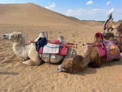 -银肯塔拉沙漠生态旅游景区