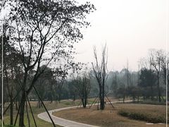 -白鹭湾湿地公园