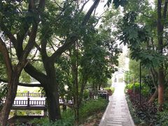 -金山公园