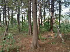 -艾溪湖湿地公园