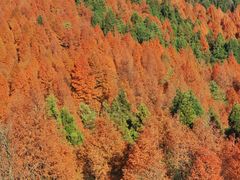 -山王坪喀斯特国家生态公园