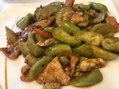 -金蝉食府(维吉奥广场店)