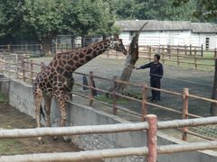 -西安秦岭野生动物园
