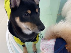 -怪兽屋·羊驼·猫咖·狗咖(俊华广场店)