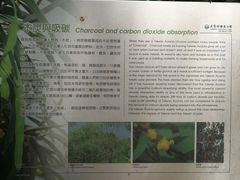 -太鲁阁公园