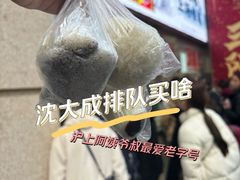 -沈大成(南京东路店)