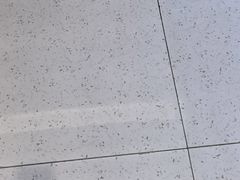 -荷花亭·湖北融合菜(十堰武商MALL店)