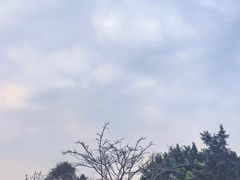 -黄埔古港