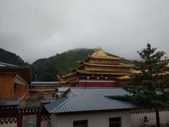 -四川郎木寺镇