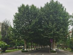 -四川大学(望江校区)