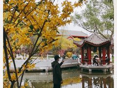 -西宁市人民公园(城西区)