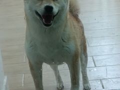 -李小姐の猫咖啡馆(五角场店)