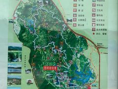 景点-大屏嶂森林公园