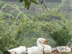 -台州府城(东湖)