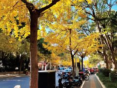 -丽晶大班SPA(大沽店)