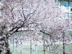 -山东师范大学(千佛山校区)