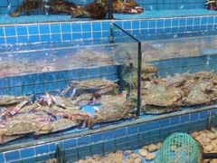水产区-地方名吃海鲜大馅蒸饺(北戴河店)