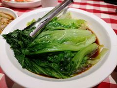 罗马生菜-西贝(满都海公园店)