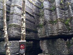 -梭布垭石林景区