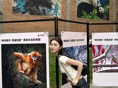 -西安电影制片厂