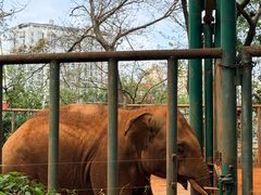 -昆明动物园