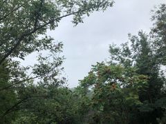 -鬼笑石后山停车场