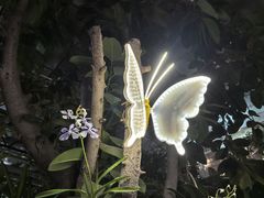 -北京植物园-展览温室