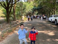 -普陀寺