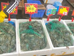 -马王堆海鲜水产市场