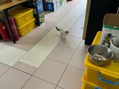 大堂-清真·白家牛肉罩火烧老店(育才街店)