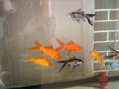 -长沙富力万达文华酒店