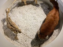 -生命奥秘博物馆