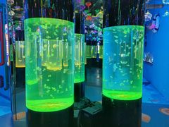 -沙沙哗啦海洋馆(华宇百花谷店)