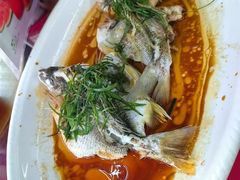 -八仔大富楼·河鲜(西江店)