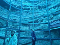 -中国西峡恐龙遗迹园