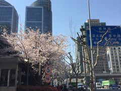 -光启城时尚购物中心