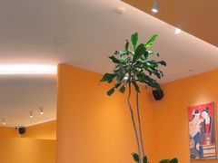 -美泰·Mangothai·清迈云街(天空之城店)