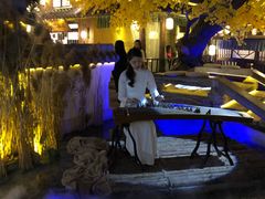 -淀里船宴(裕华东路店)