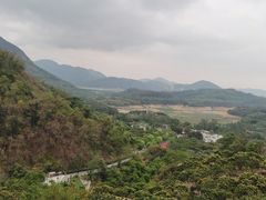 -清溪森林公园