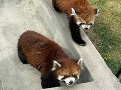 -水上乐园·欢乐世界