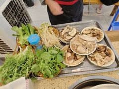 -杨记山珍鸡煲菌汤锅