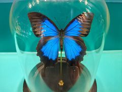 -惠州西湖风景名胜区-丰渚园